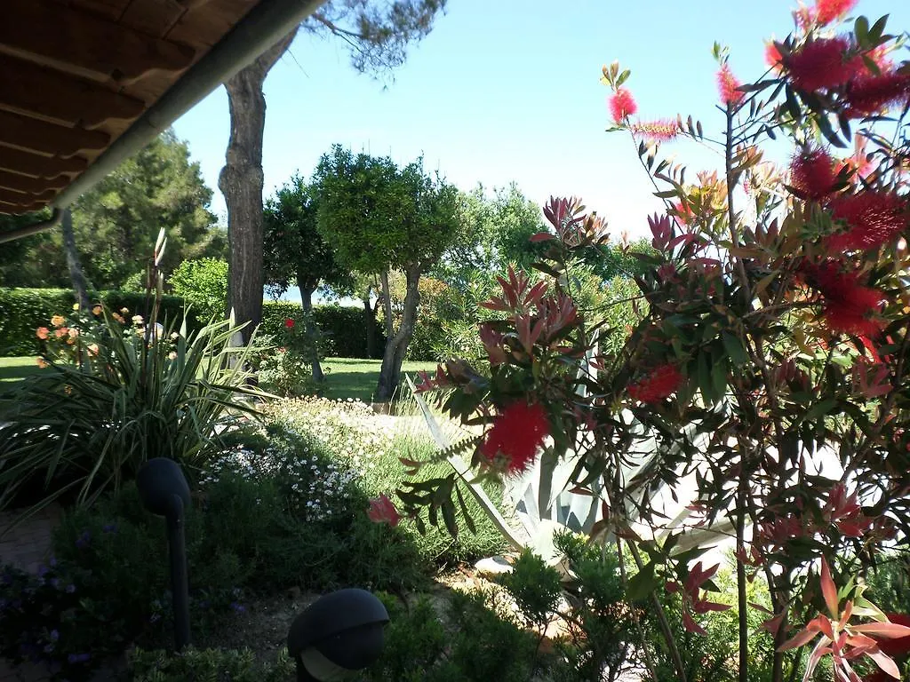 Bed&Breakfast  Il Tesoro di Mario Bed and Breakfast Falconara Marittima 0*,
