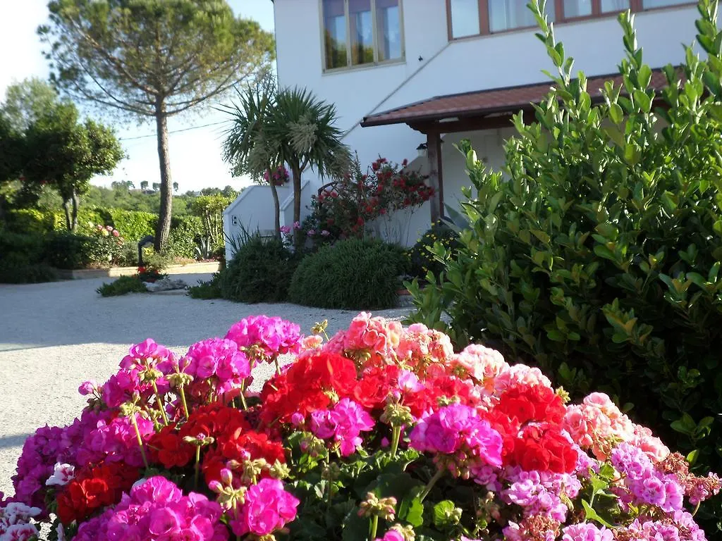 Bed&Breakfast  Il Tesoro di Mario Bed and Breakfast Falconara Marittima
